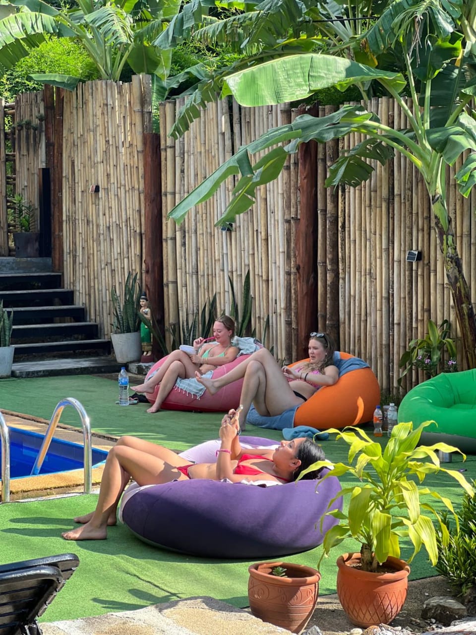 Day, People, Garden, Garden view, group of guests, sunbed