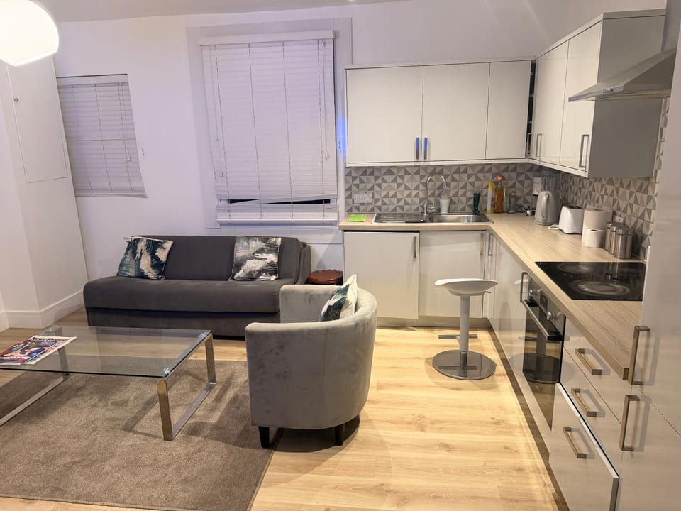 Dan 1bedroom flat Apartment in London