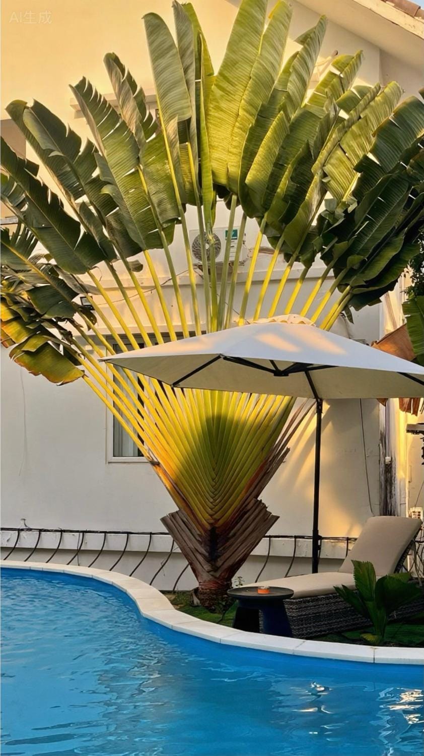 Biệt Thự Vũng Tàu 5 Phòng- 5 Bedrooms Villa in Vung Tau Villa in Vung Tau