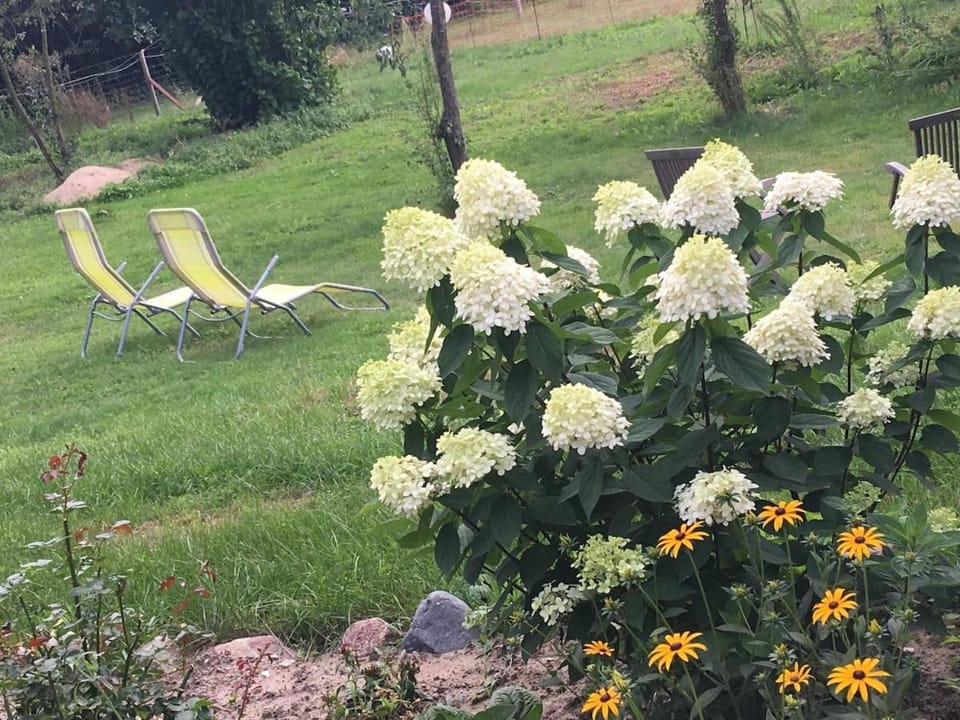 Garden, Garden view