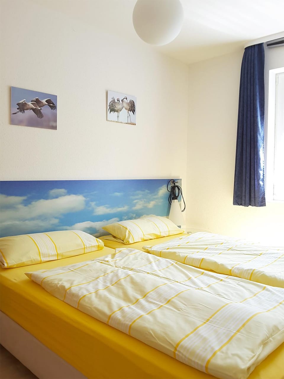 Buchenpark Wo 1 Apartment in Prerow