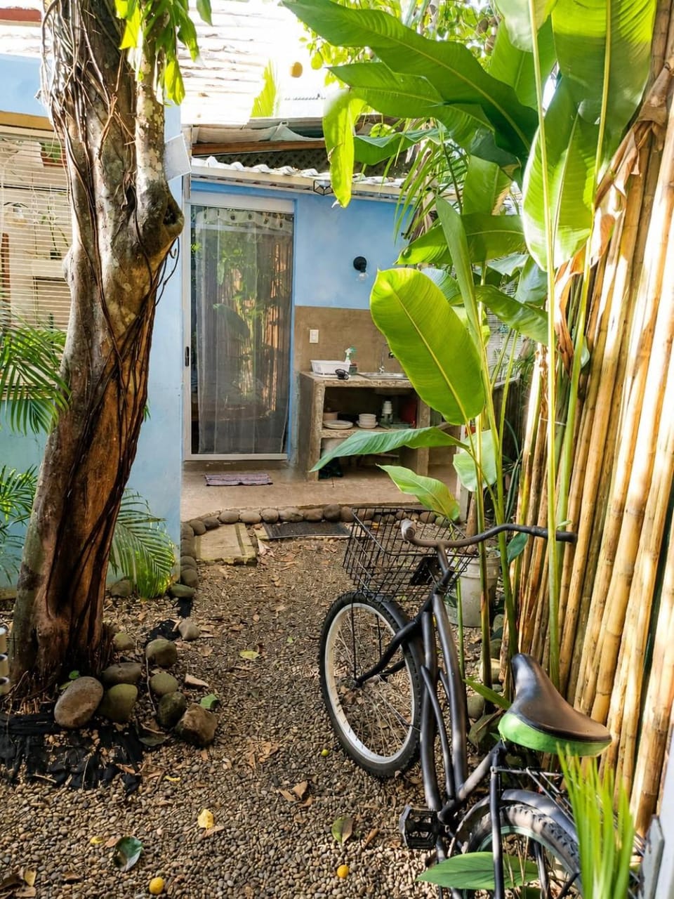 Day, Garden, Cycling, Garden view