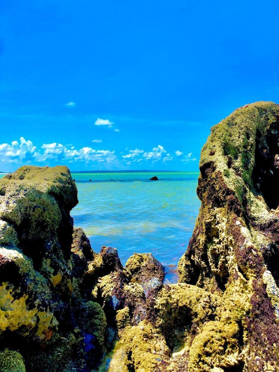 Natural landscape
