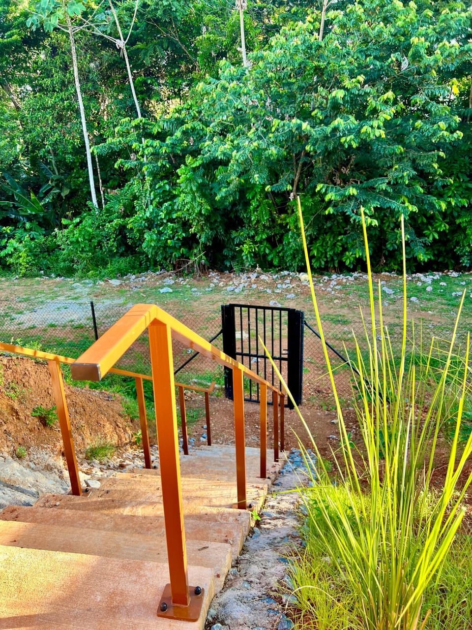 Natural landscape