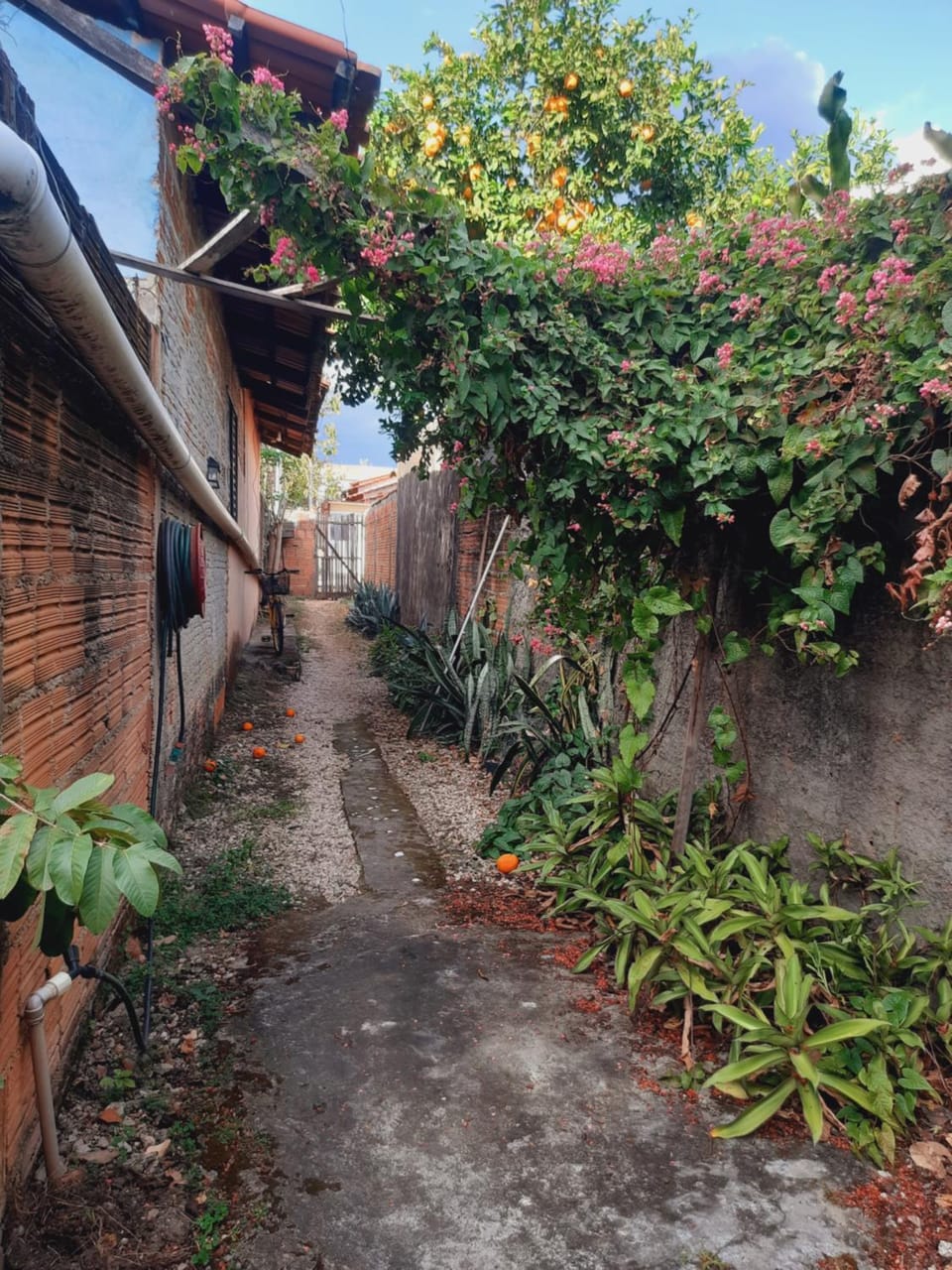 Casa da Pri em São Jorge House in São Jorge