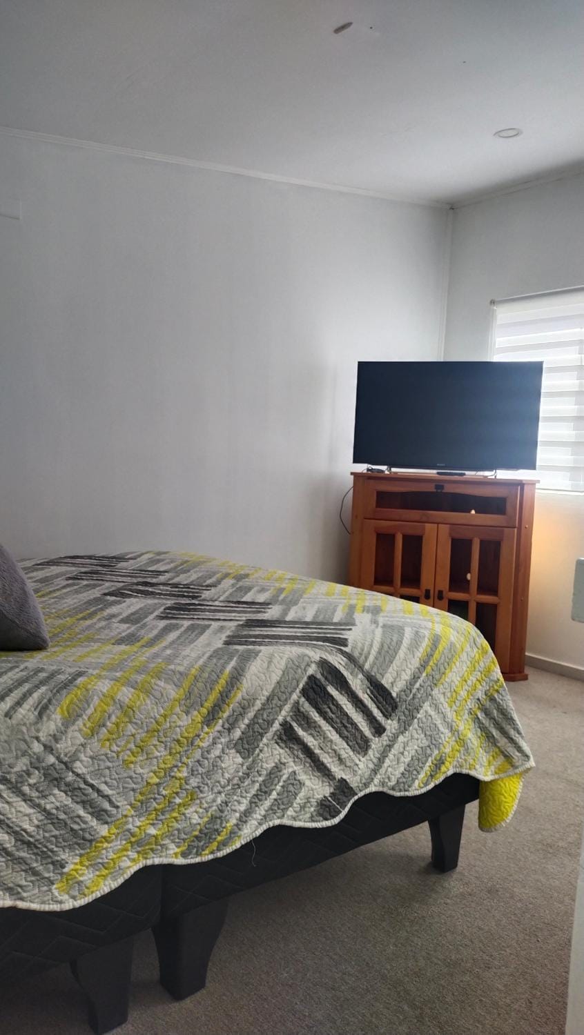 Petrohue I Apartment in Valdivia