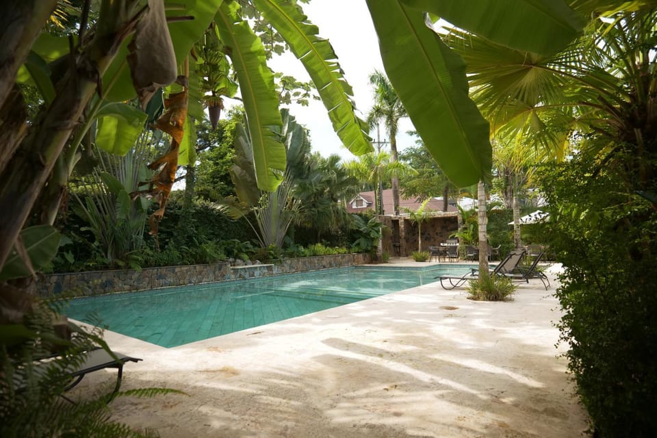 Spring, Day, Garden, Garden view, Pool view, Swimming pool, sunbed