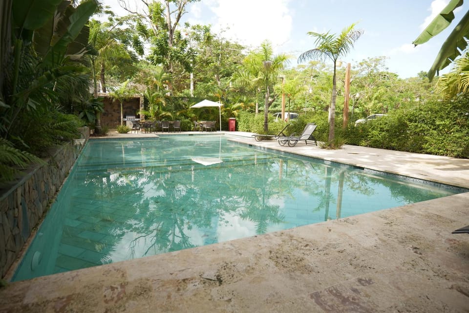 Spring, Day, Garden, Garden view, Pool view, Swimming pool