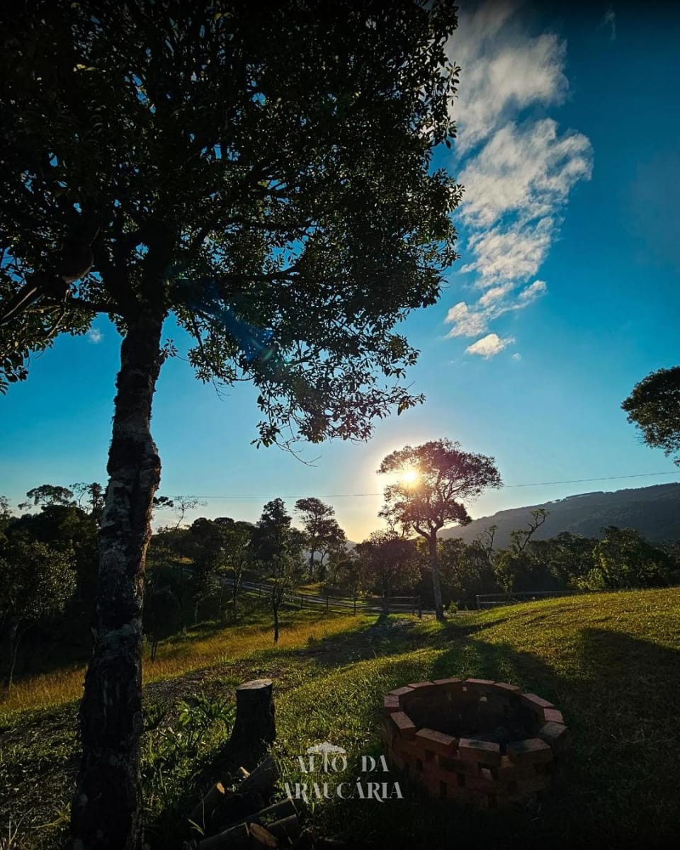 Chalé Araucária Luxury tent in State of Santa Catarina