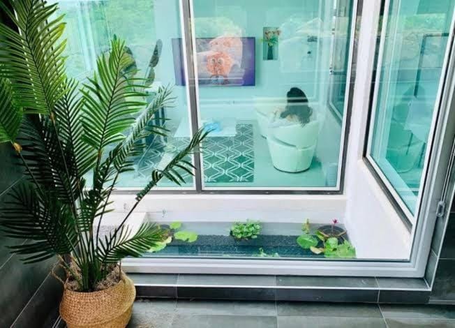 Garden view