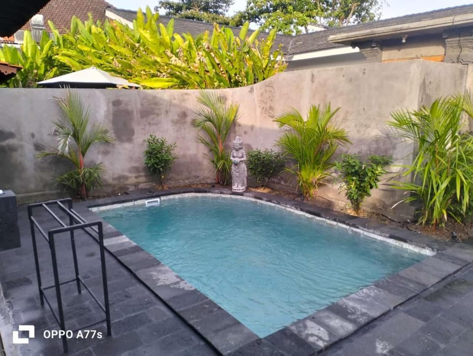 Day, Pool view, Swimming pool, sunbed