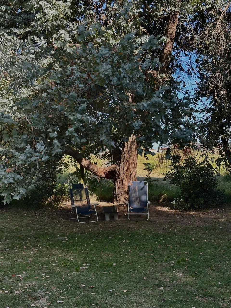 Day, Natural landscape, Garden, Garden view