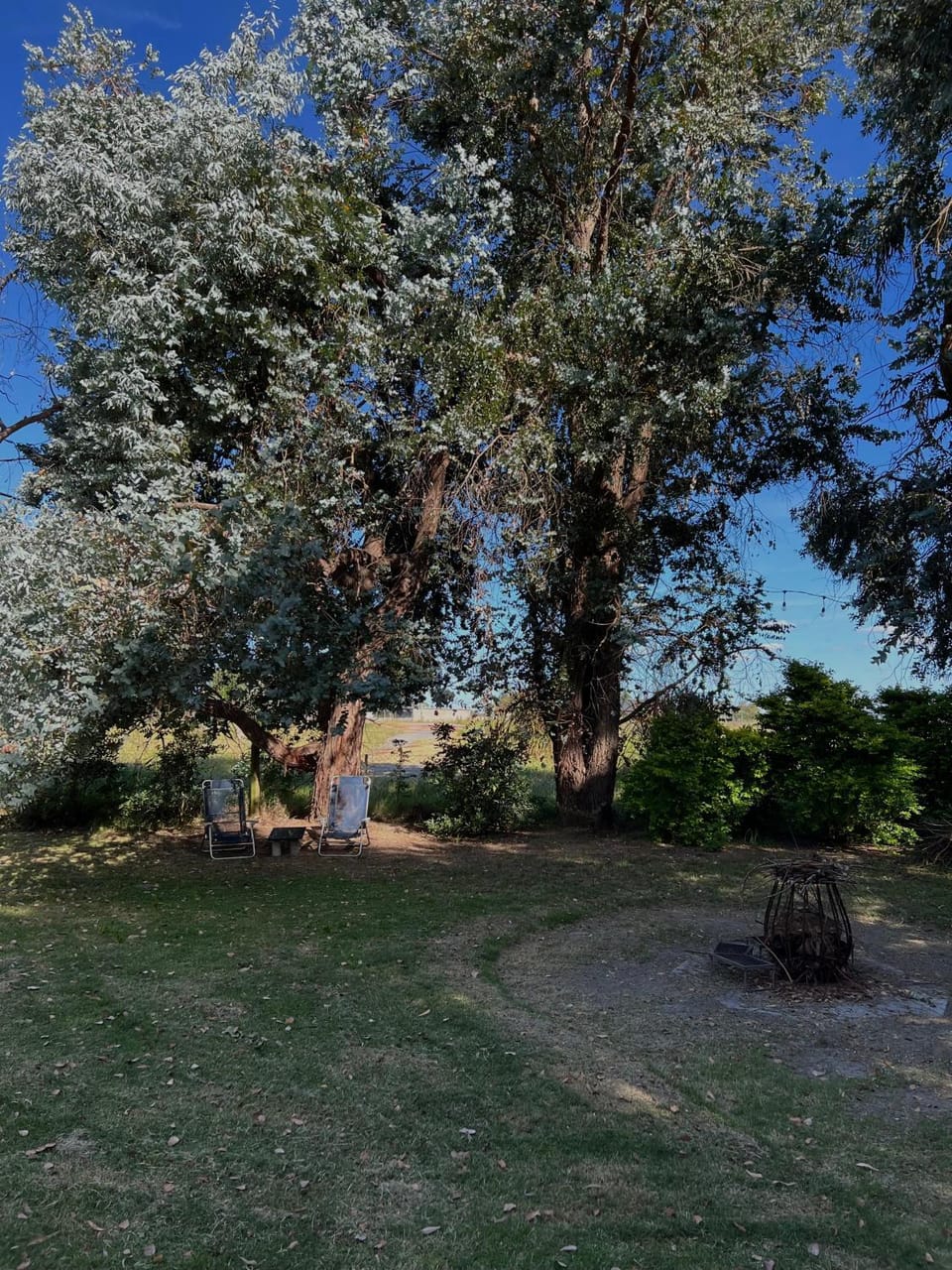 Natural landscape, Garden, Garden, Garden view