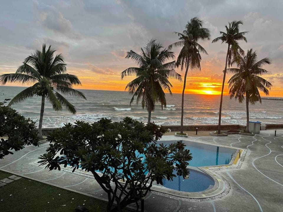 Natural landscape, Beach, Pool view, Sea view, Swimming pool, sunbed