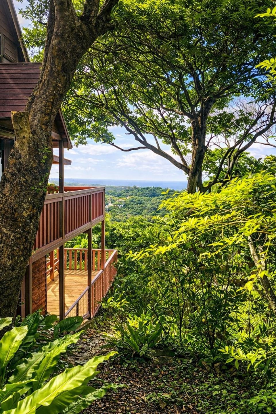 Natural landscape, View (from property/room), Balcony/Terrace