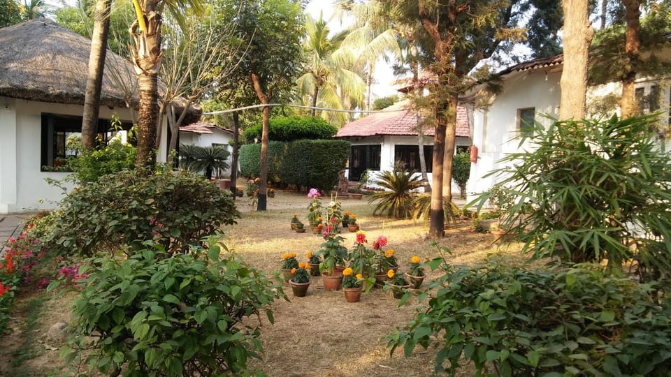Garden, Garden view