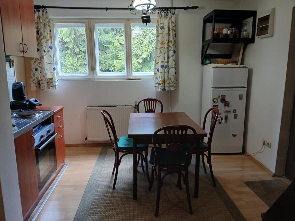 Kitchen or kitchenette, Dining area, oven