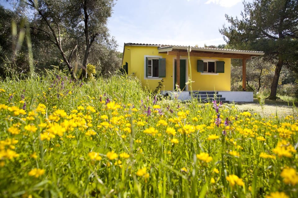 Spring, Off site, Garden