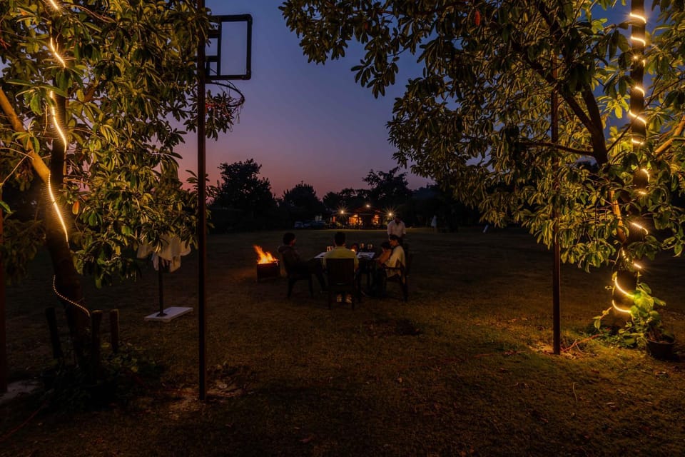Night, Natural landscape, Garden, Garden view