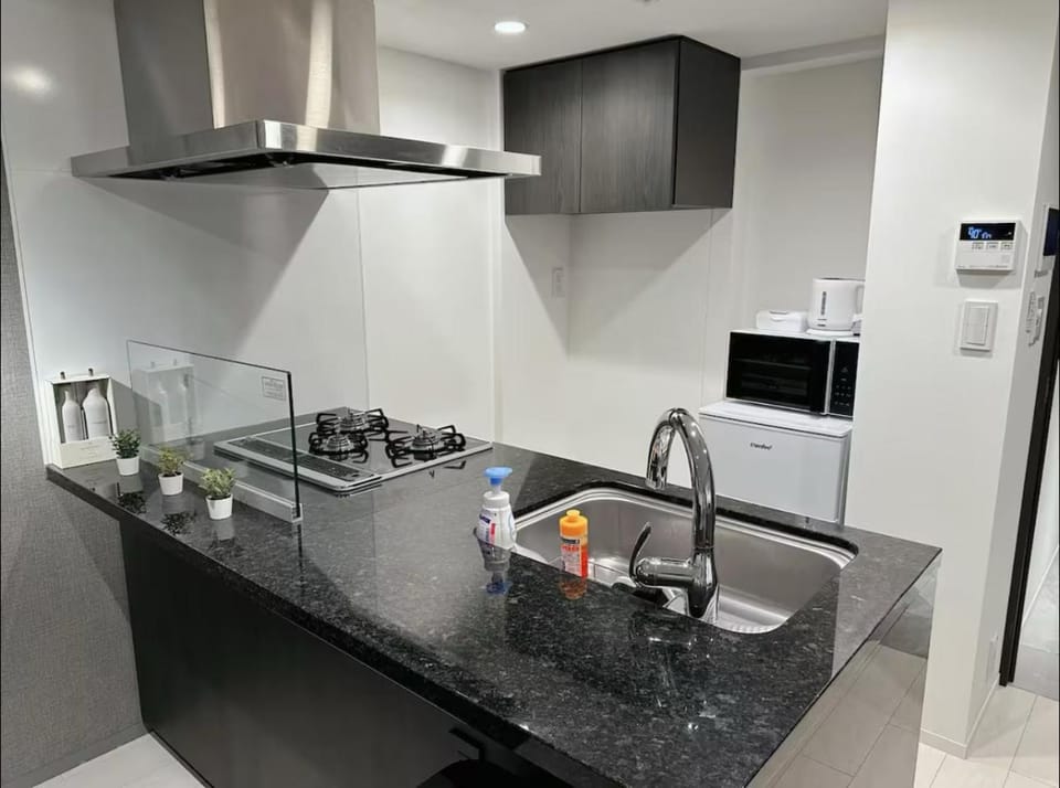 Kitchen or kitchenette