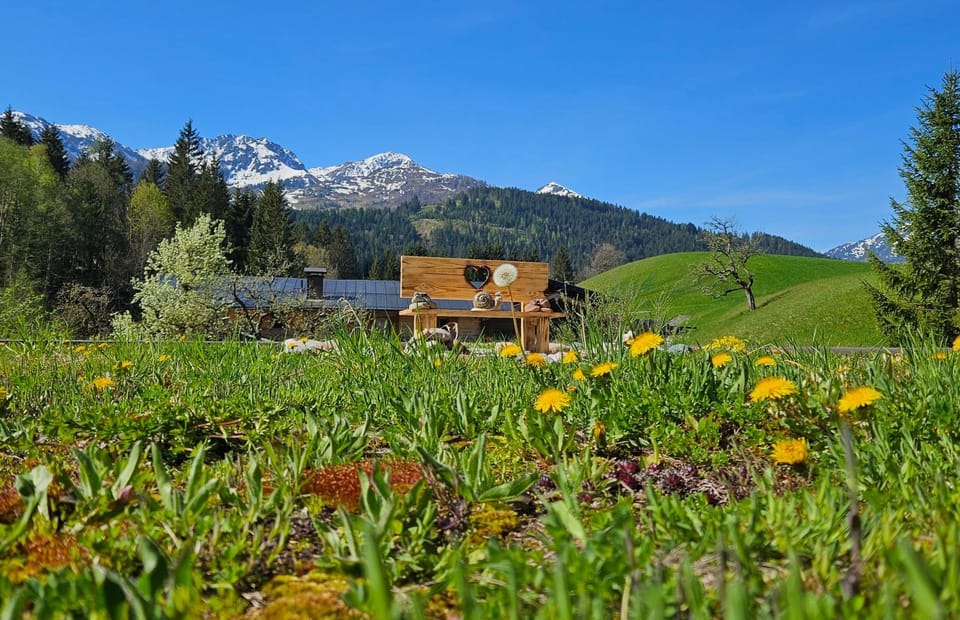 Ferienwohnung Rotache Apartment in Tyrol