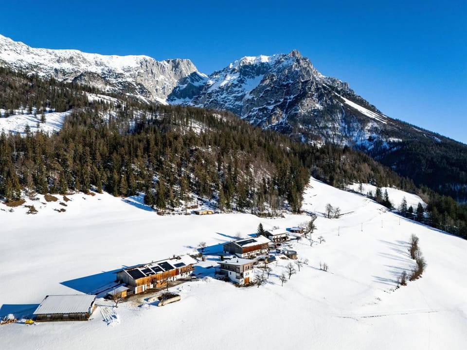 Hinterschiesslinghof Apartment in Ellmau