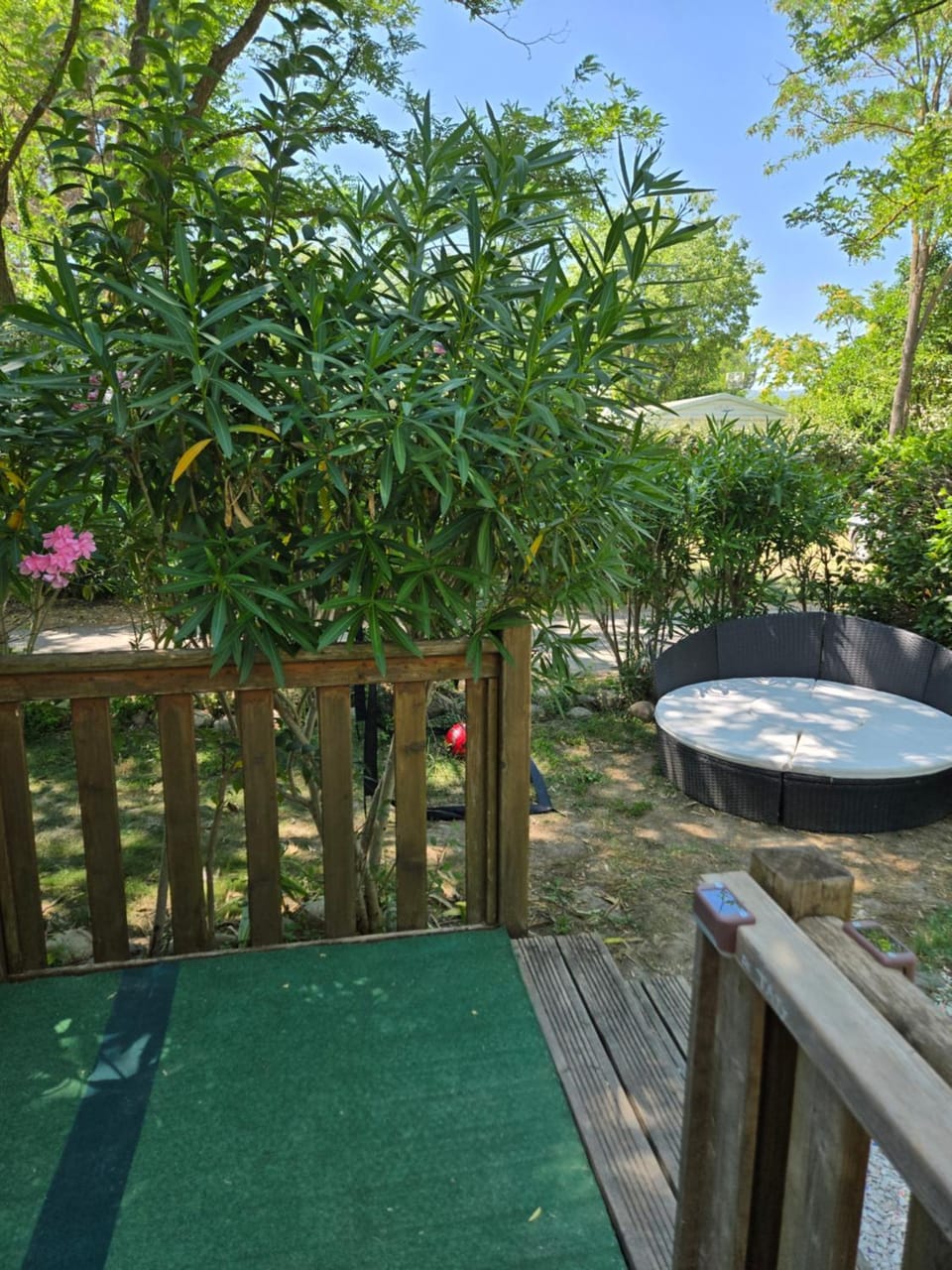 Patio, Garden view