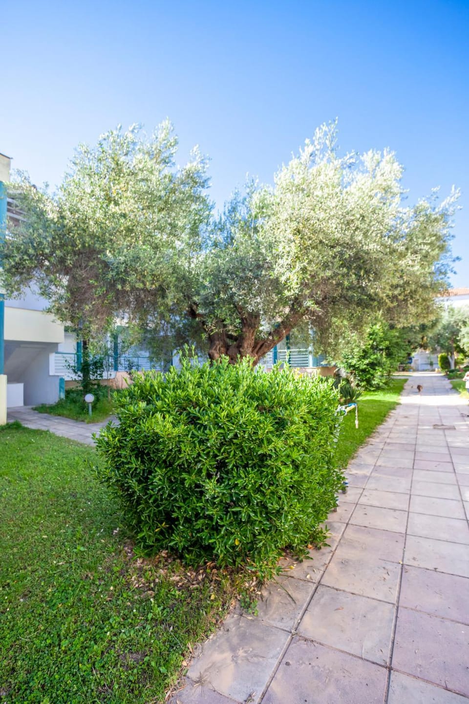 Property building, Day, Garden view