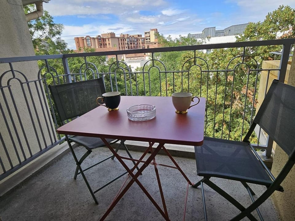T1 - 160 bed - city center Apartment in Toulouse