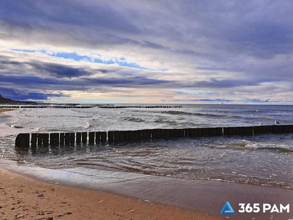 Day, Natural landscape, Beach