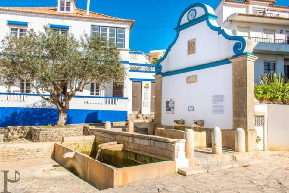 Parrot House Apartment in Ericeira