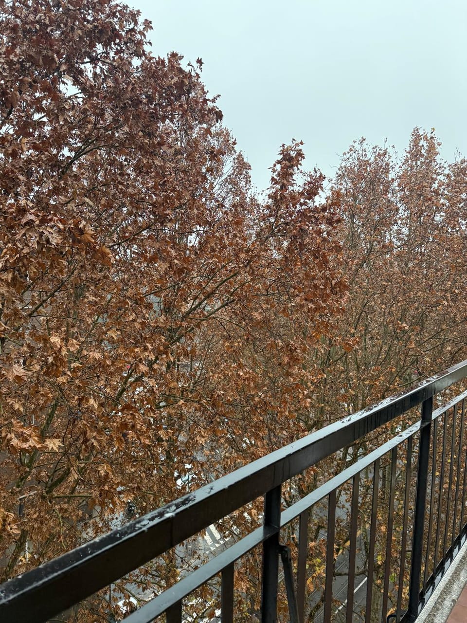 Seventh floor 5 min from San Siro Apartment in Milan