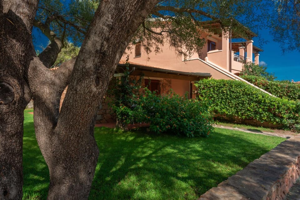 Spring, Winter, Summer, Garden, Autumn