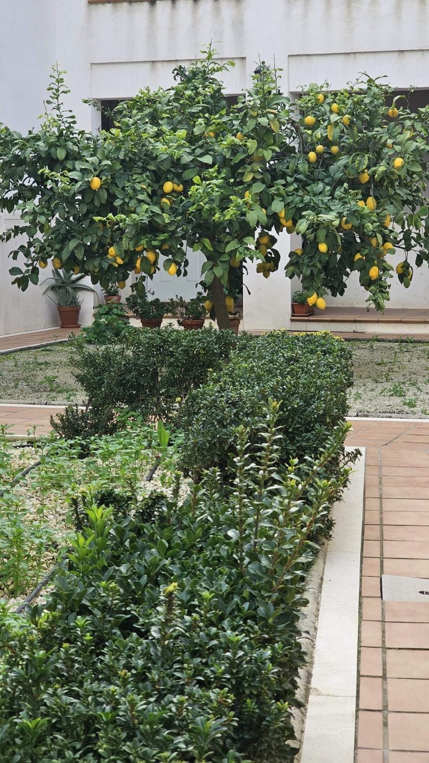 Garden view