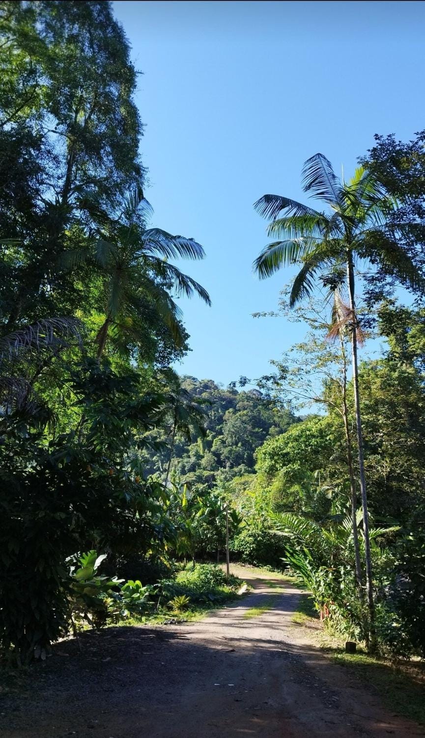 casa da mata House in State of Rio de Janeiro
