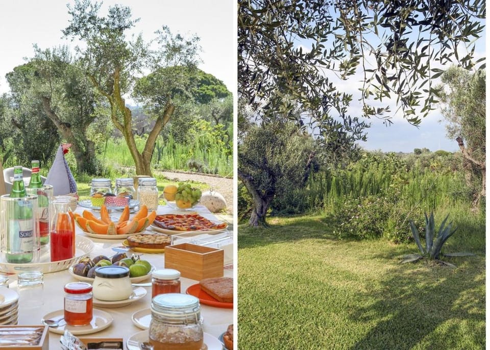 Day, Natural landscape, Garden, Garden view, Lunch