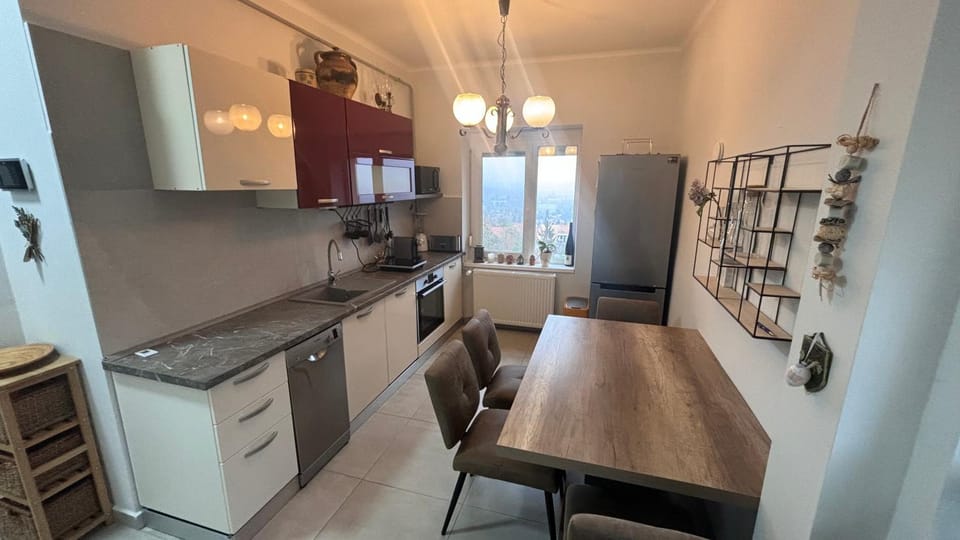 Kitchen or kitchenette, dishwasher, stove