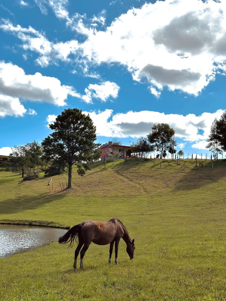 Natural landscape