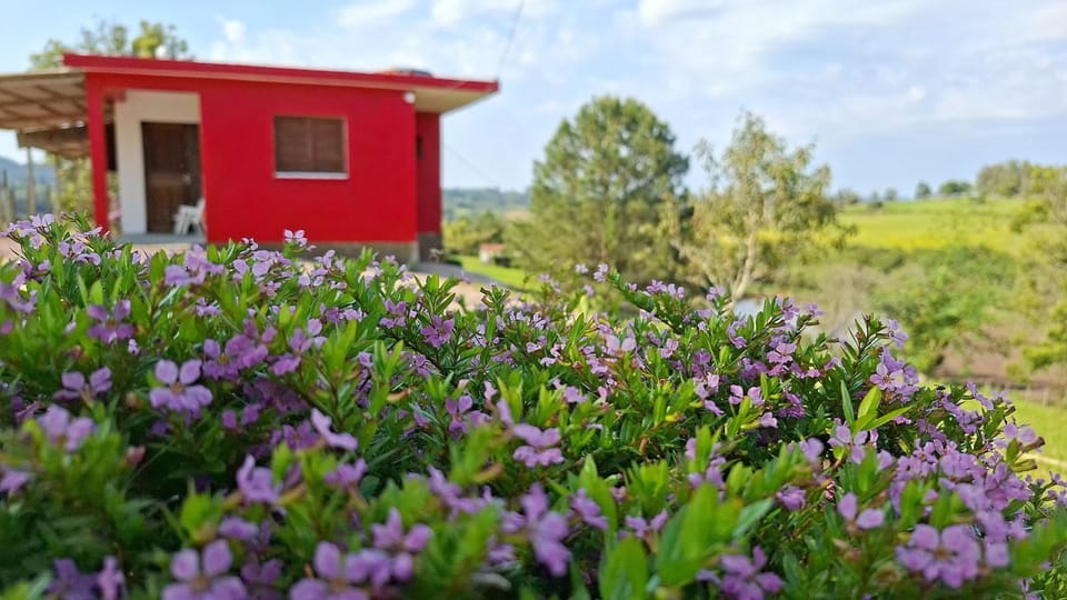Spring