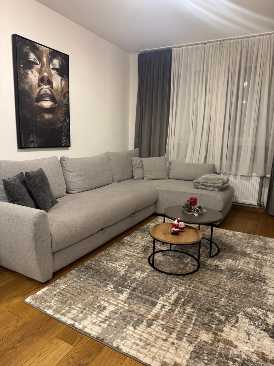 Atina 1 Apartment in Novi Sad