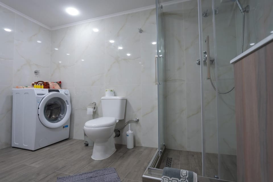 Shower, Toilet, Bathroom, washing machine