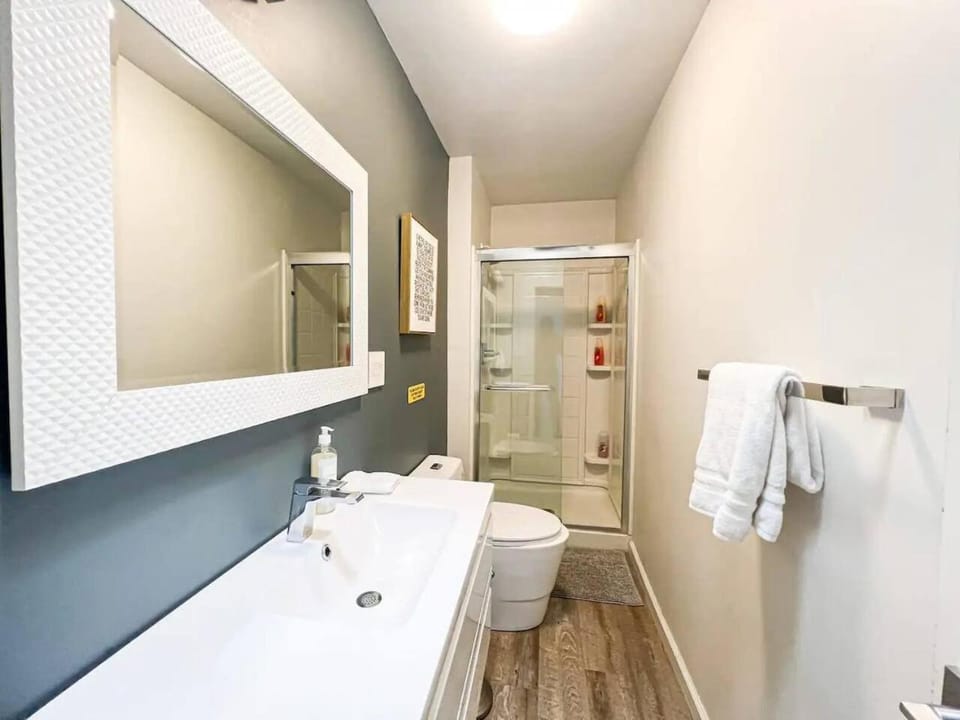 Shower, Toilet, Bathroom, towels