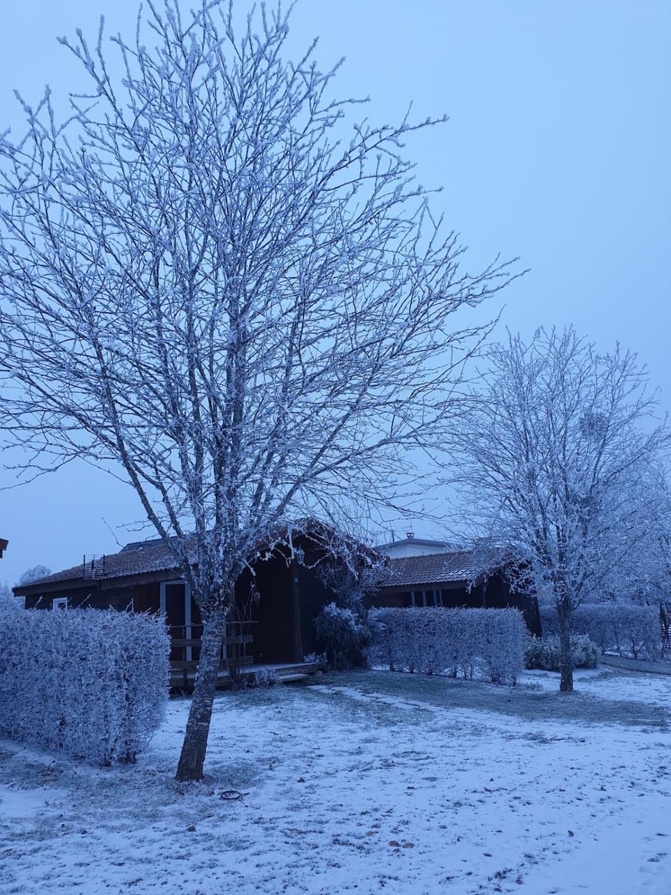Winter, Garden
