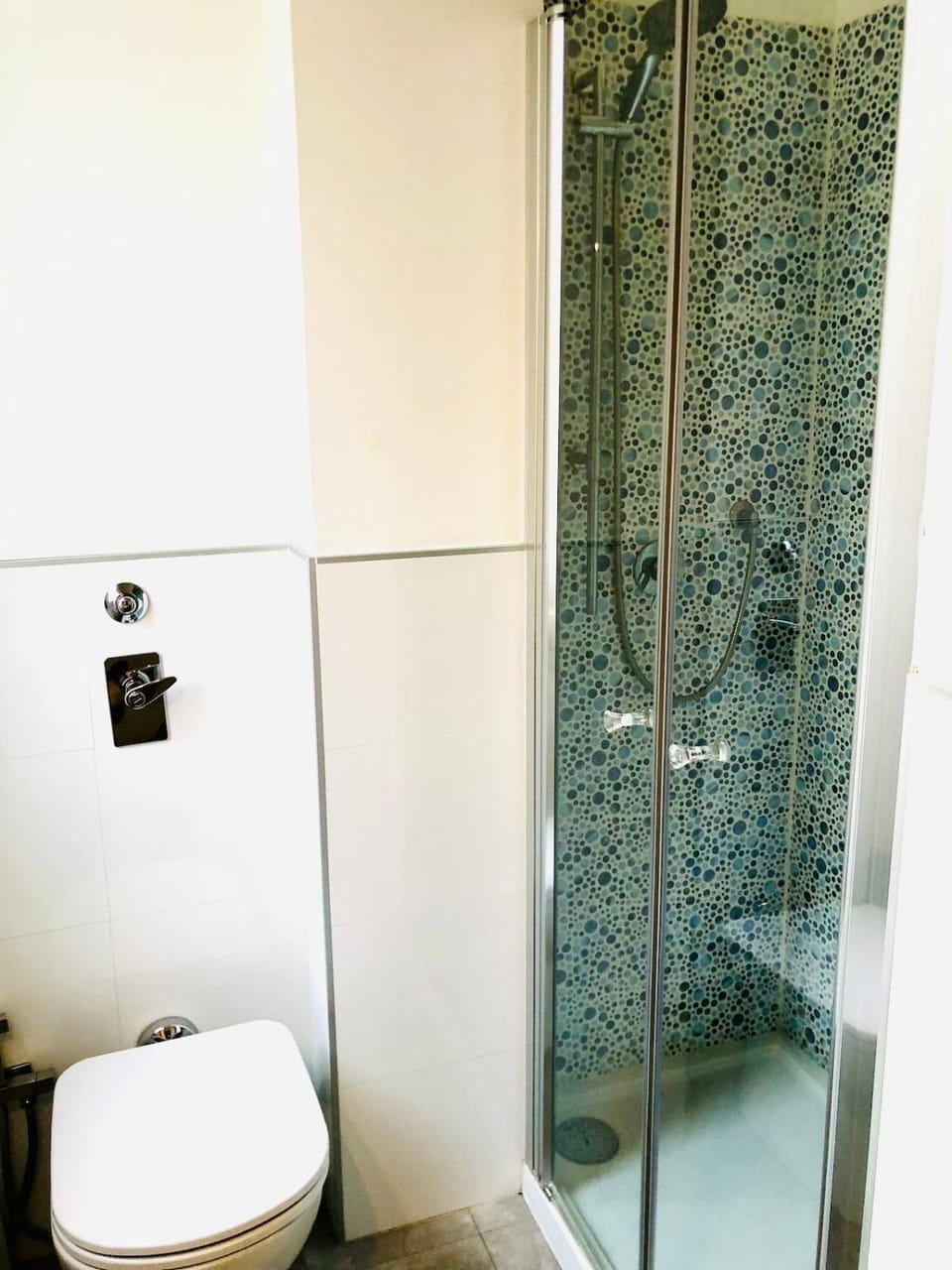 Shower, Toilet