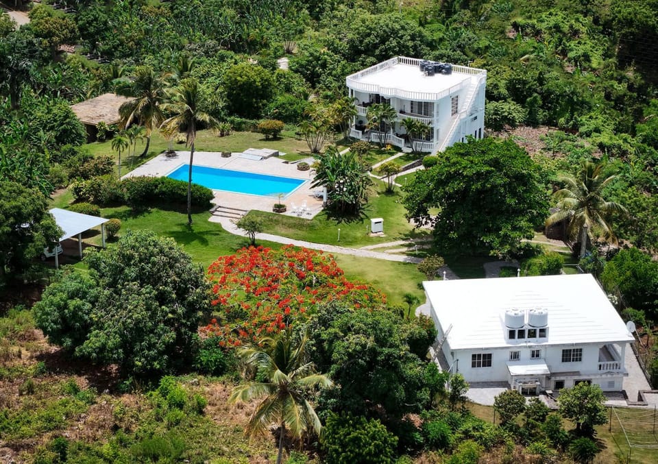 Property building, Day, Natural landscape, Bird's eye view, Garden, Garden view, Pool view
