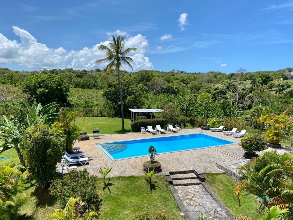 Natural landscape, Garden, Garden view, Pool view, Swimming pool, sunbed