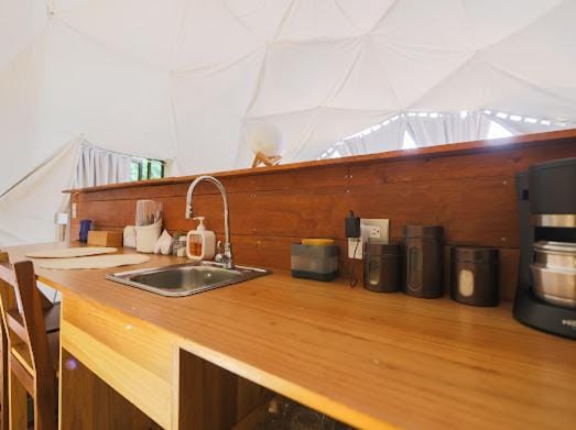Kitchen or kitchenette, kitchen