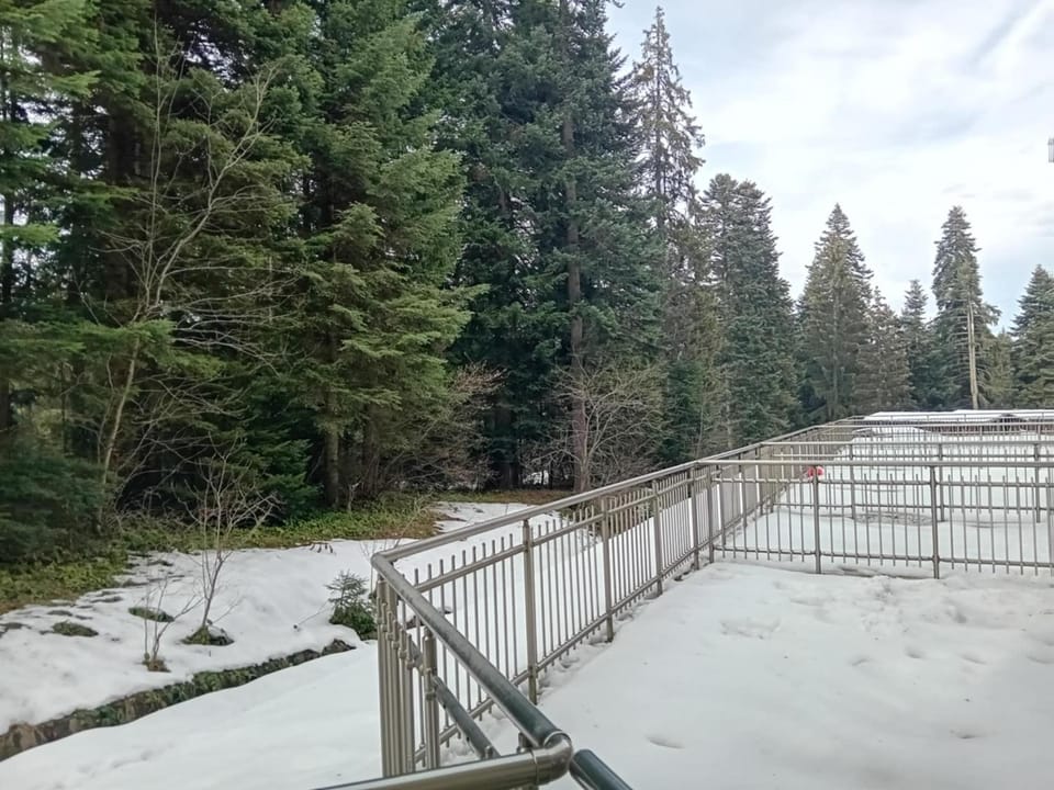 STUDIO B&K in FLORA BOROVETS Apartment hotel in North Macedonia