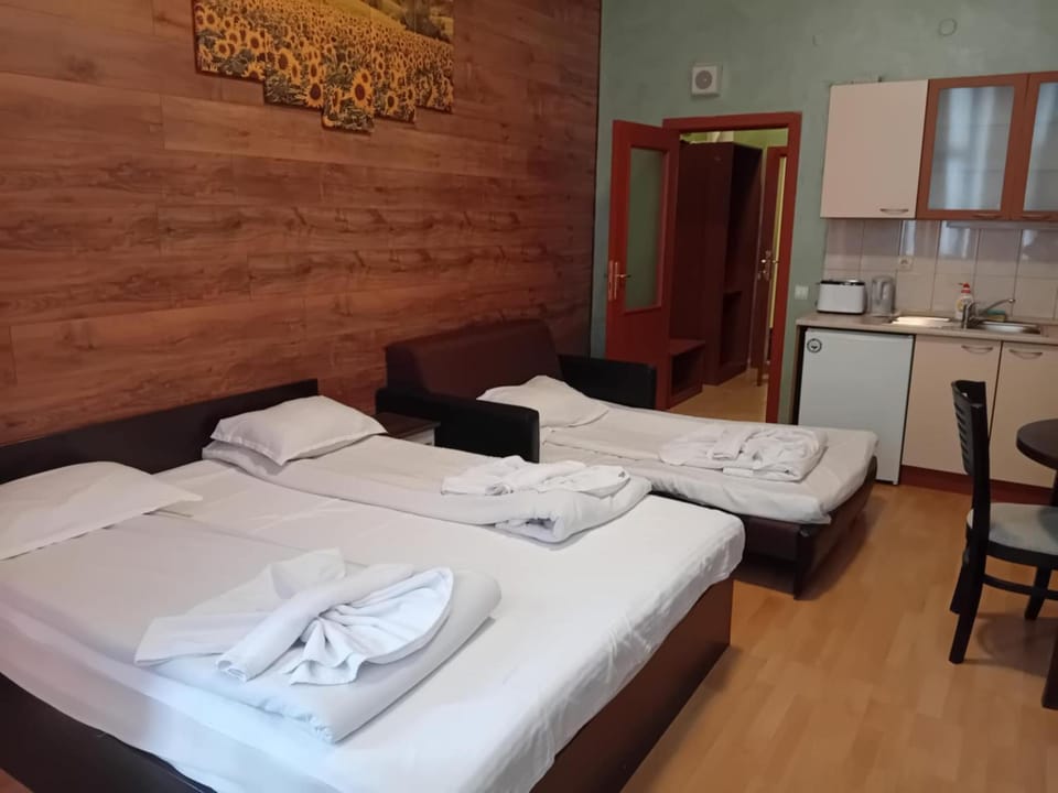 STUDIO B&K in FLORA BOROVETS Apartment hotel in North Macedonia