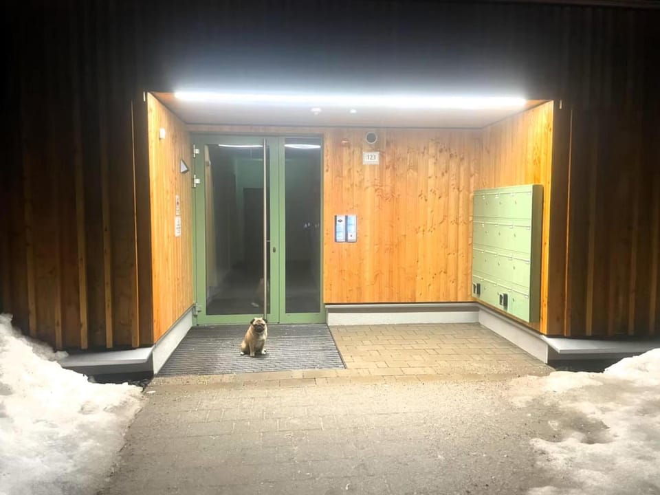 Property building, Winter